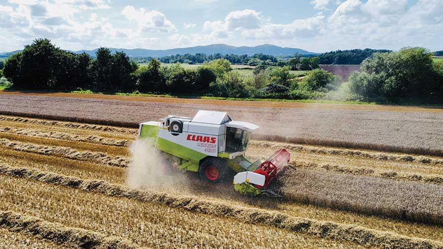 Combine at work in a wheat crop