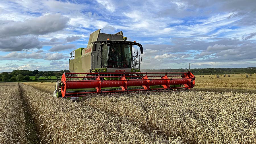 Extase wheat being combined in Northamptonshire by Claas Lexion 750 © Lewis Porter (Harvest 2023 photo gallery)
