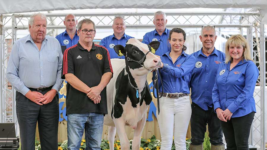 The Riverdane Holsteins team with Riverdane KD Hannah © Evie Tomlinson Photography