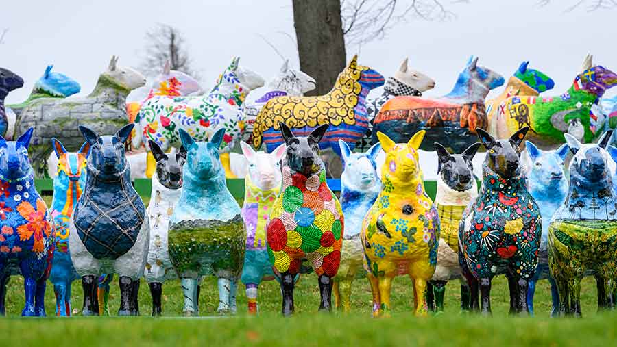 Fibreglass sheep