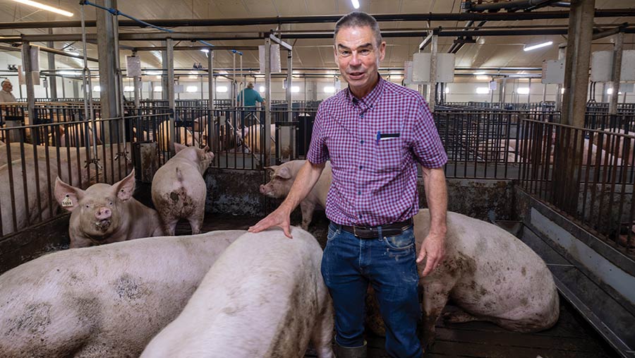 Frank Tobin, Farmers Weekly Awards 2023 Pig Farmer finalist