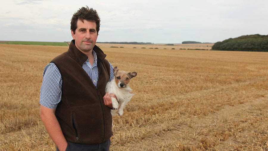 Man with a small dog in a field