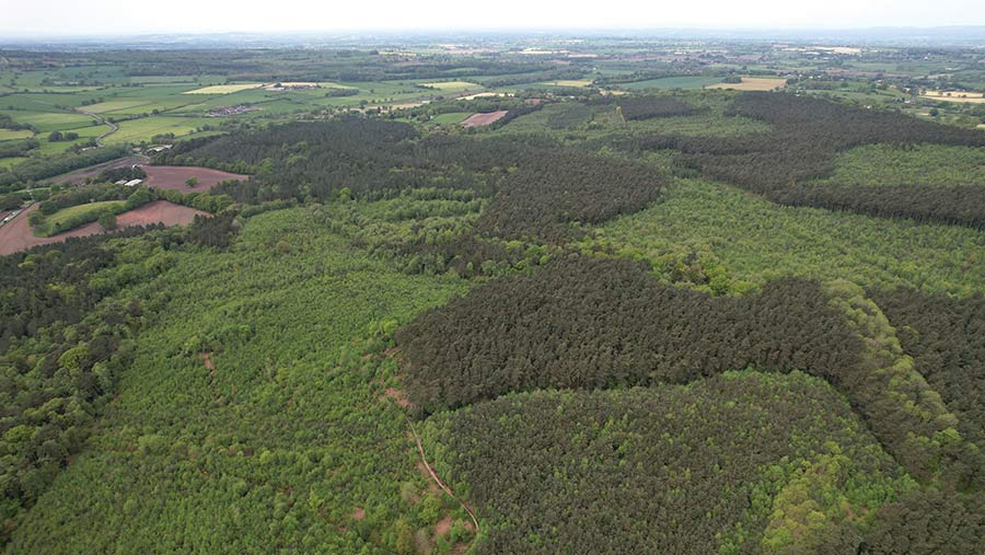 Maer Hills © Goldcrest Land and Forestry