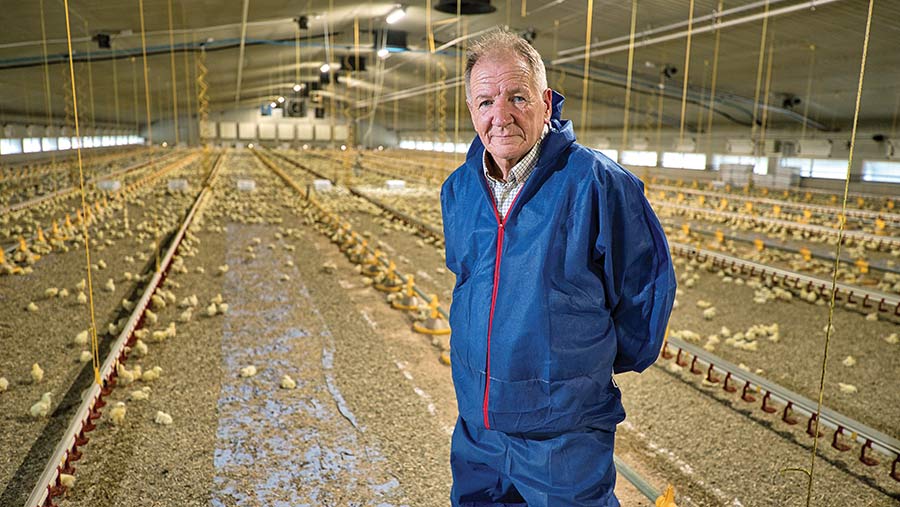 Farmer wearing overalls in a chicken shed