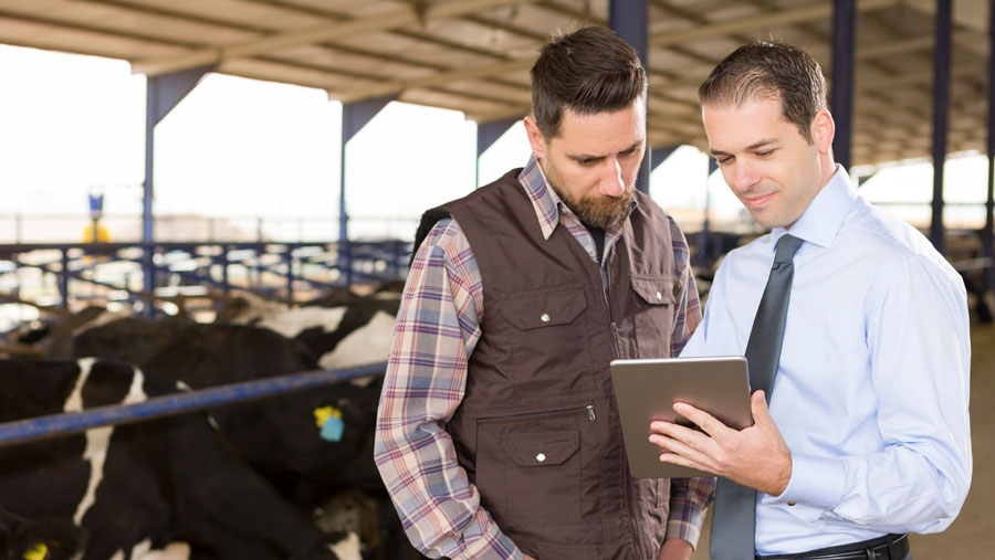 Two people looking at a tablet