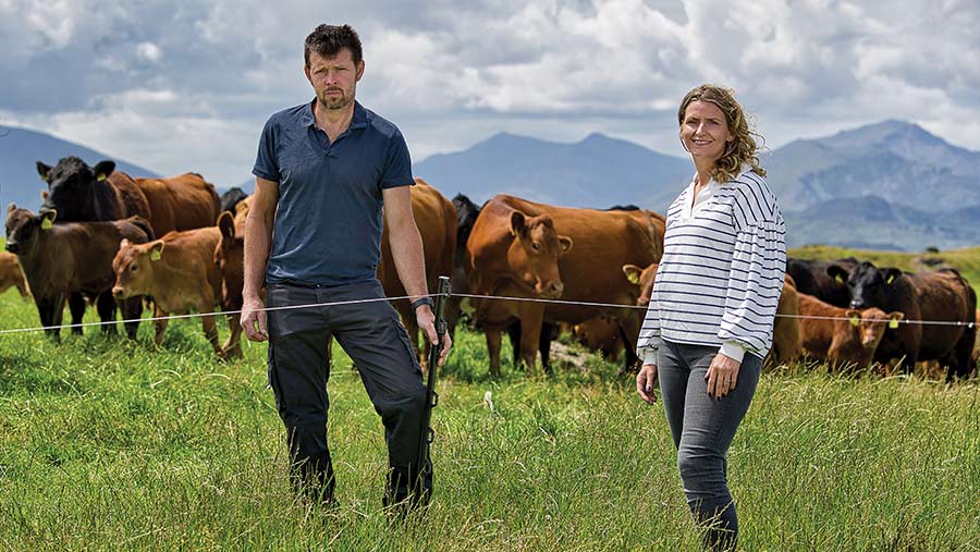 Sian and Llion Jones in field with cows