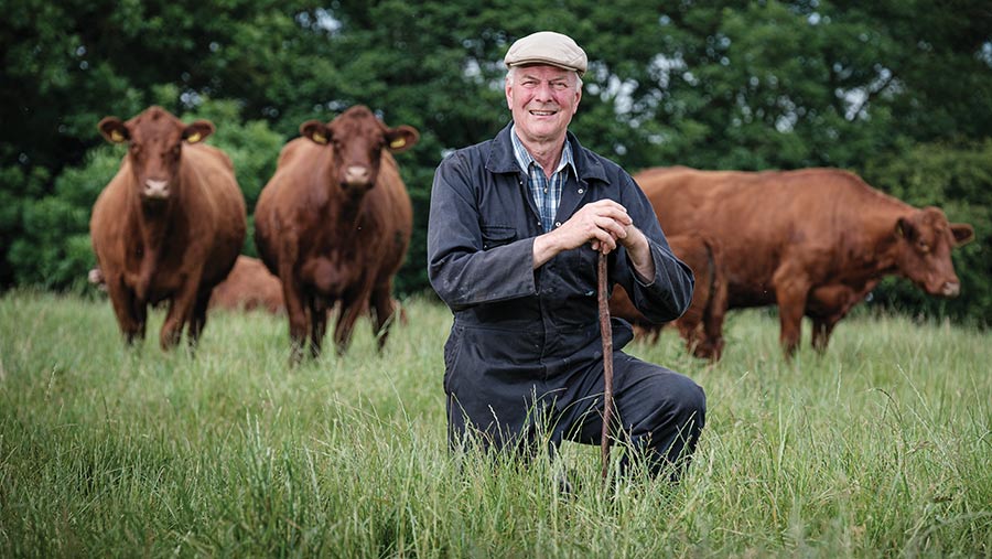 Terrence Pye in field with cows