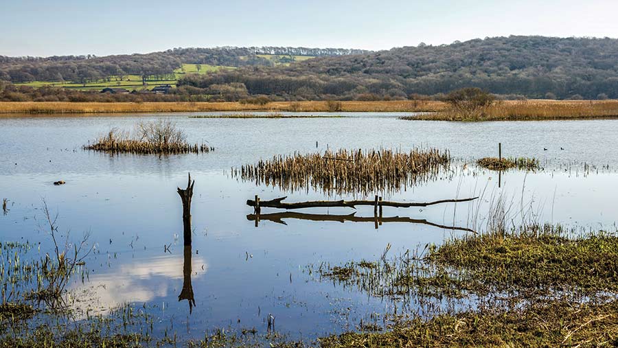 wetlands