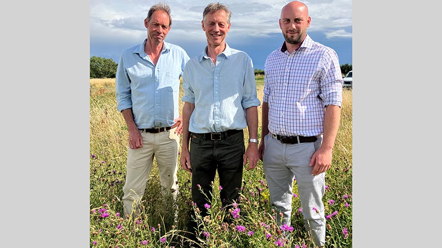 Three men standing in a the wildflower field