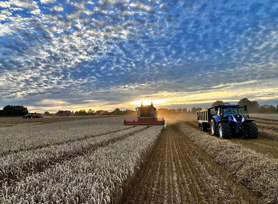 Combine and tractor with trailer