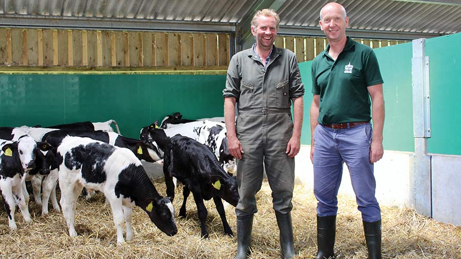 Andy Creed and Paddy Gordon with dairy calves