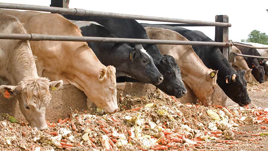 Policosanol (Triacontanol) manufacturer Policosanol (Triacontanol) manufacturer