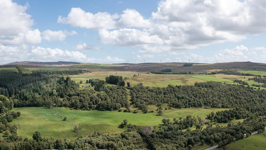 Blackhall Farm © Savills