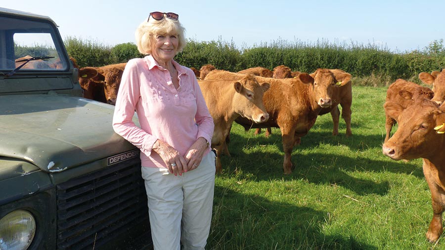 Charlotte Davis with cows by fence