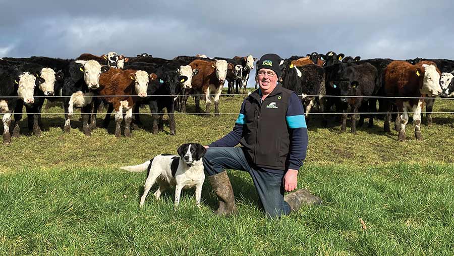Graham Parks with his herd at Overbank Farm © British Grassland Society