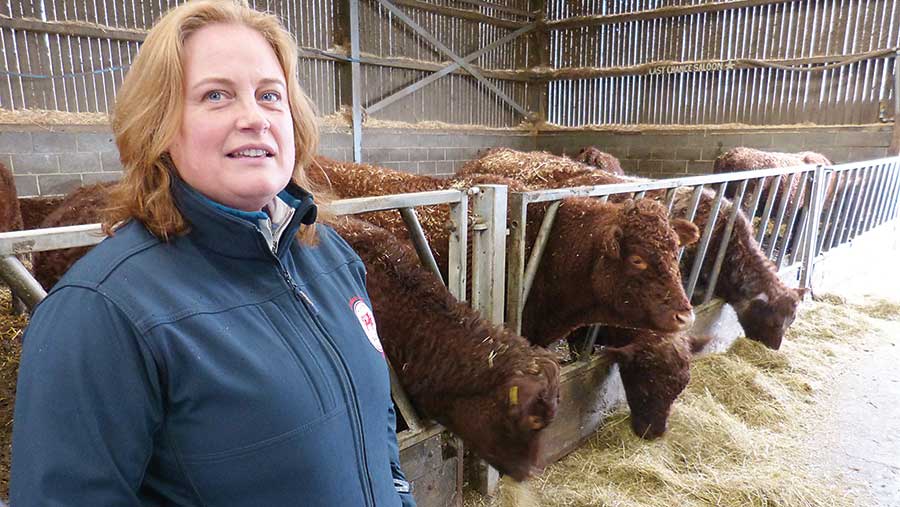 Woman in shed with feeding cattle