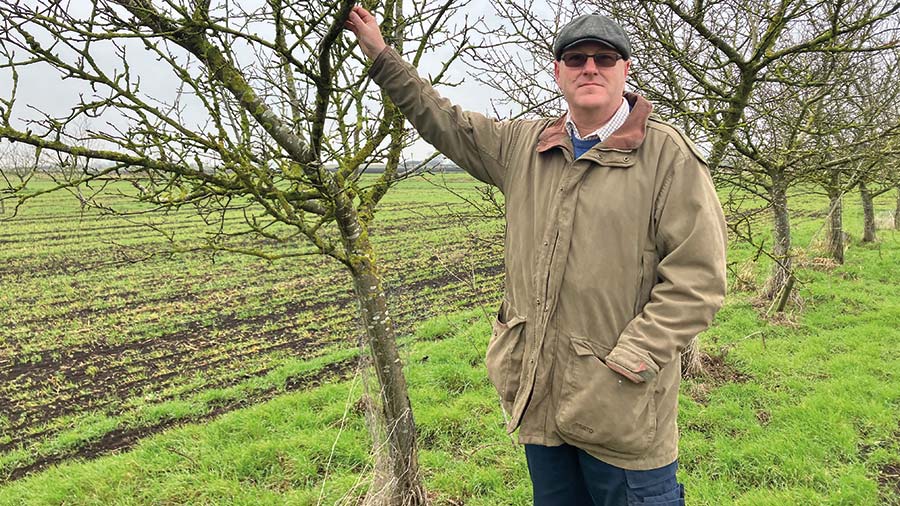 Stephen Briggs standing next to trees he's planted