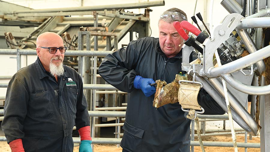 Tim Carter foot-trimming © UK Dairy Day