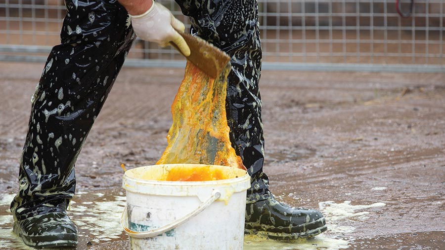 Vet disinfecting boots