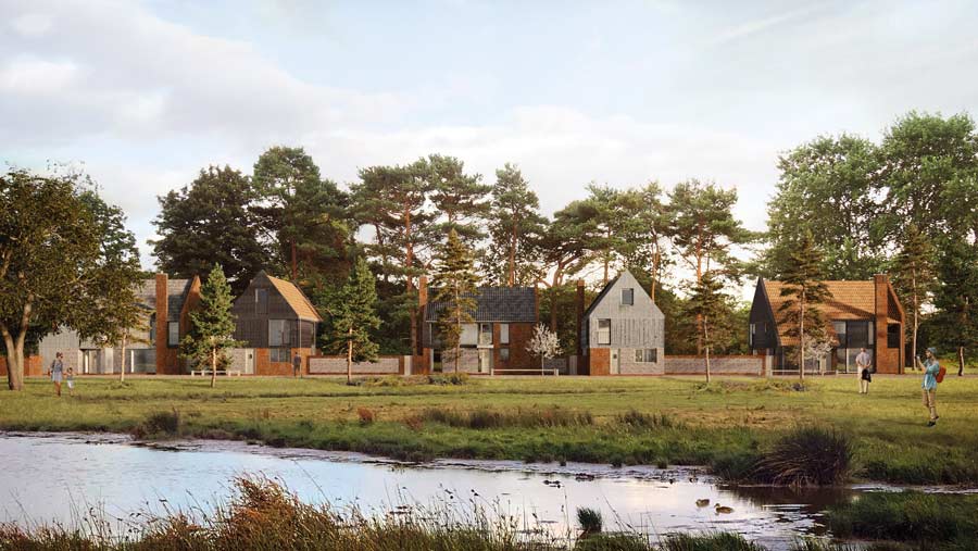 Self-build site in Norfolk on grazing land, creating a new village green and pond © Livedin