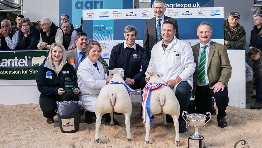 Prize winners sat by winning sheep at livestock show