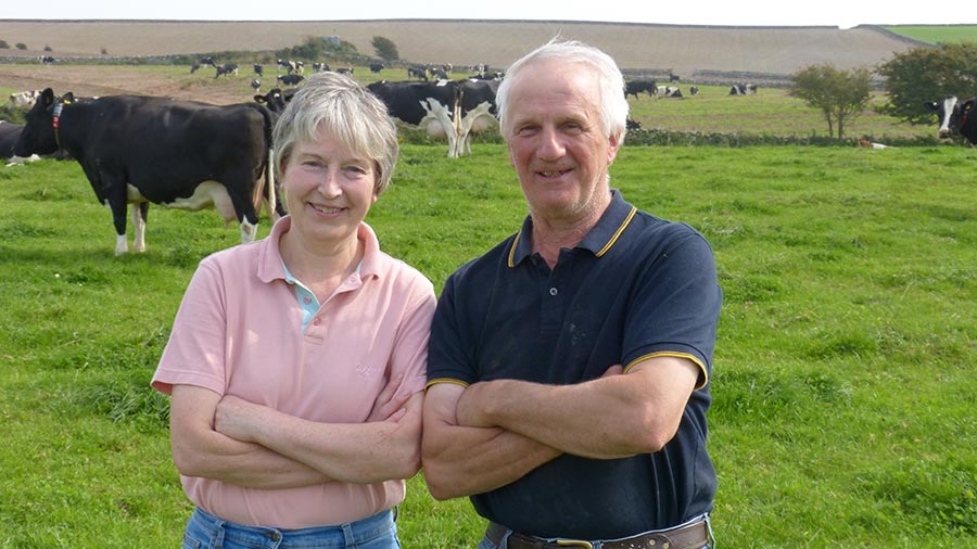 Man and woman stood in a field with cows