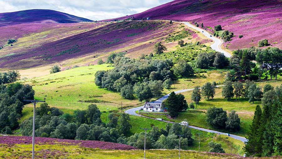 The Cairngorms National Park near the Lecht Ski Centre © Milosz Maslanka/Adobe Stock