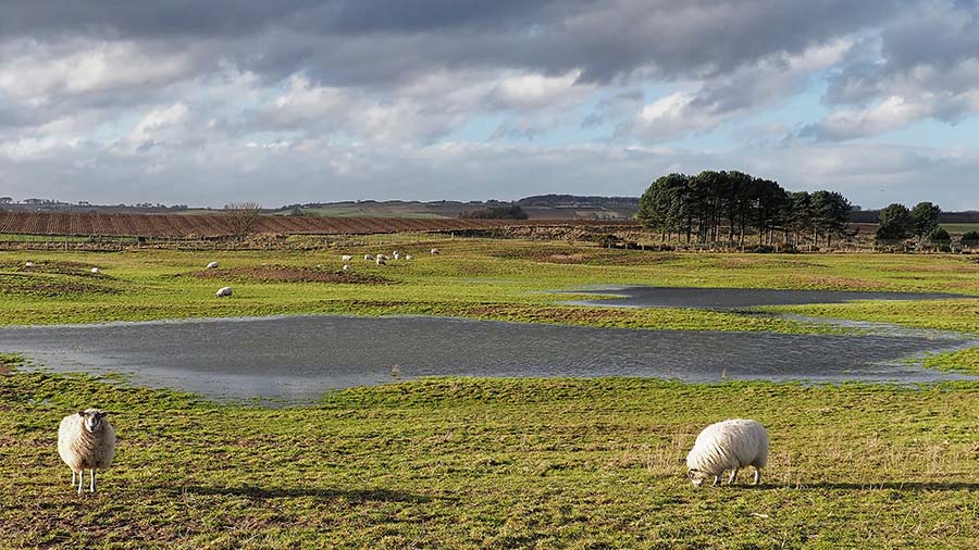 Stock photo of flooded farmland in Scotland © AdobeStock/Julian