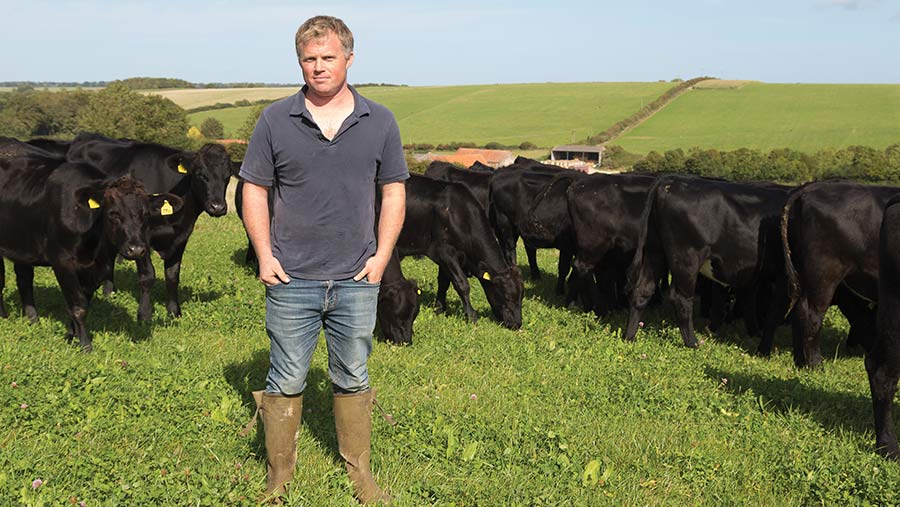 David Cross in field with dairy beef