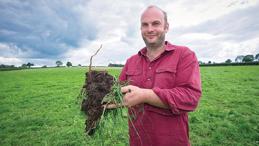 Man in a field holding an uprooted plant 