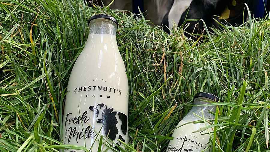 Milk bottles in grass