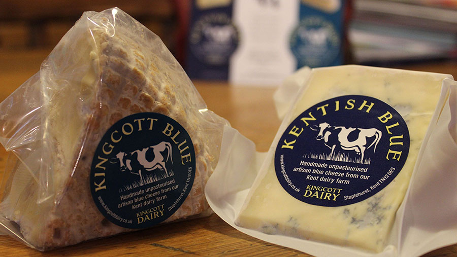 Kingcott Dairy blue cheese blocks on table