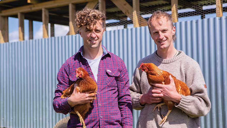 Premium Photo  Chicken farmer poultry farming and man with