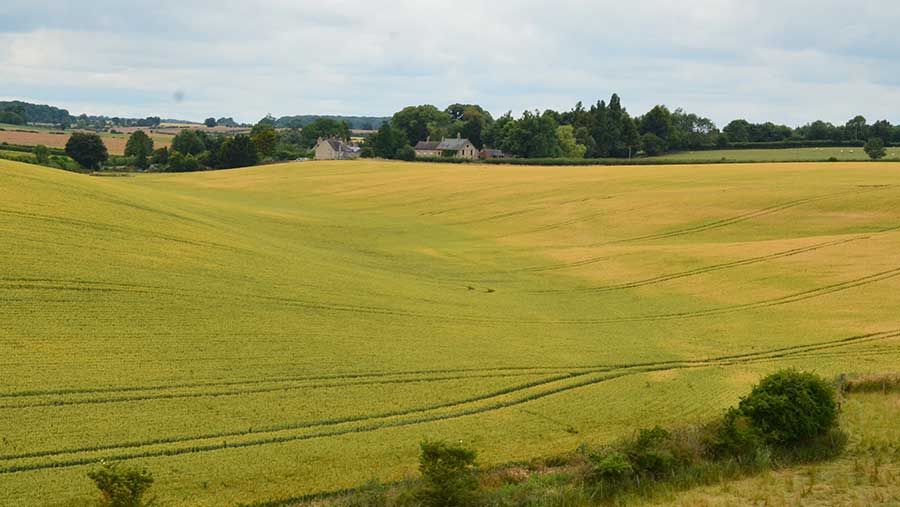 Grange Farm