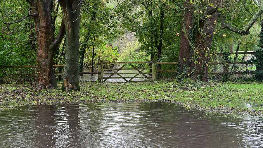 Flooded farm track in Horley, Surrey after Storm Ciaran © Paul Briden/Alamy