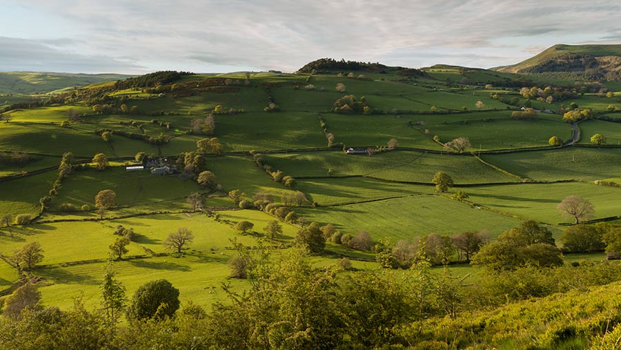 © George Heap/Adobe Stock