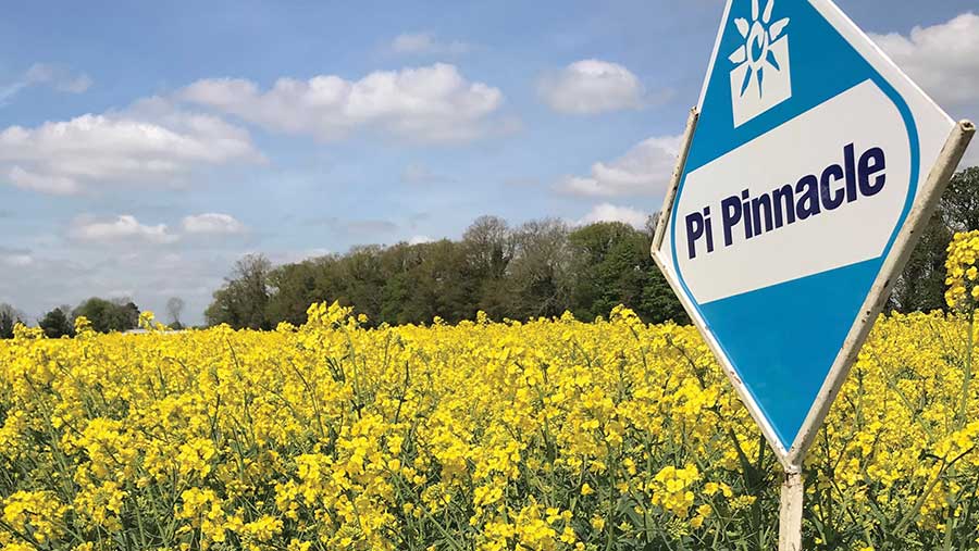 Pi Pinnacle OSR crop