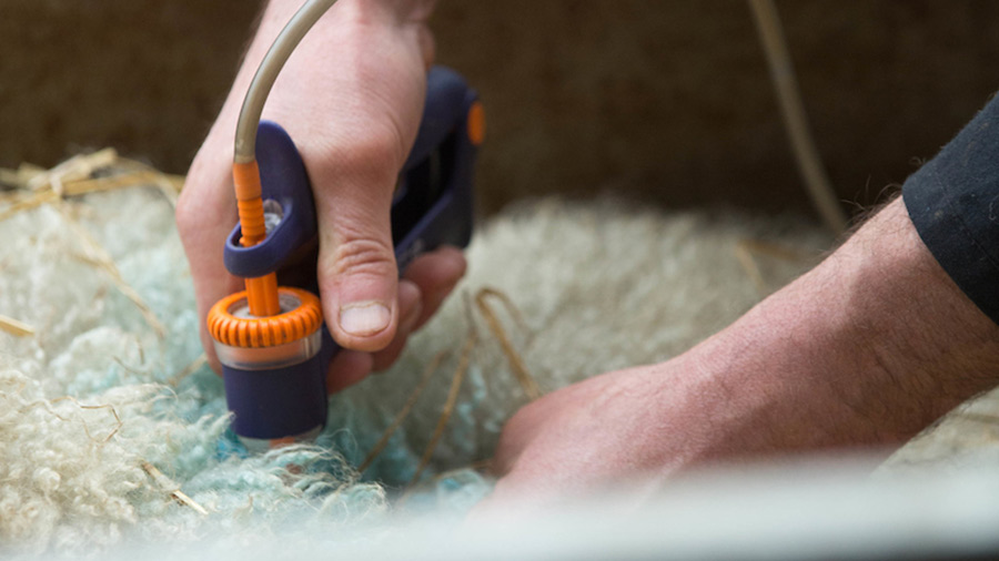 Strategic plan could improve sheep vaccine availability - Vimarsana News