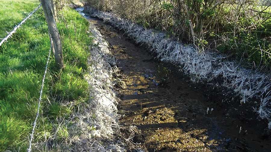 Toilet paper and raw sewage in field ditch