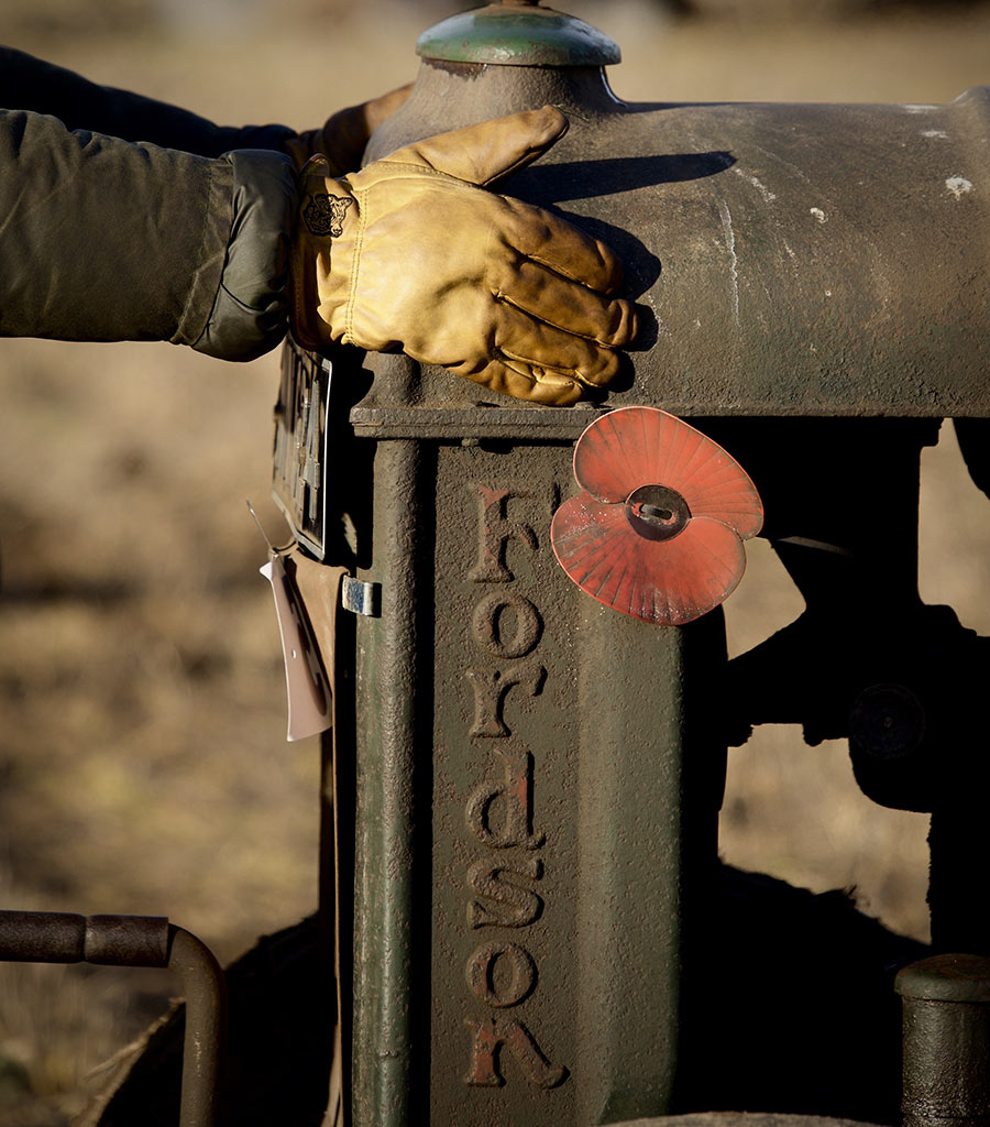 A fordson tractor with poppy