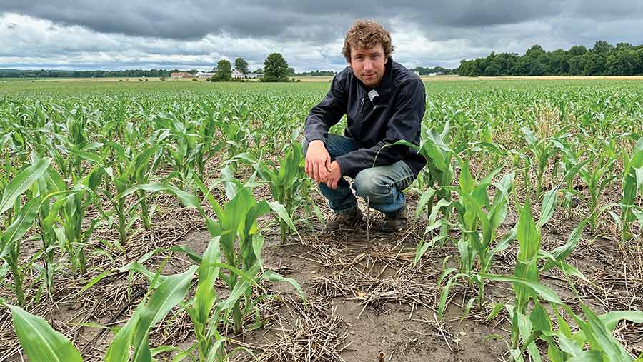 Chris Brandt in the maize crop 