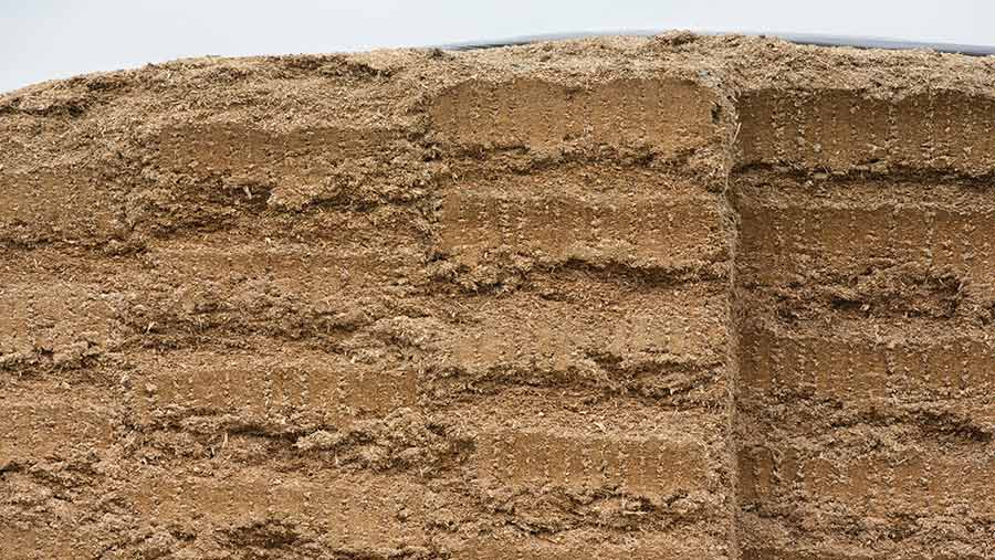 Face of silage clamp