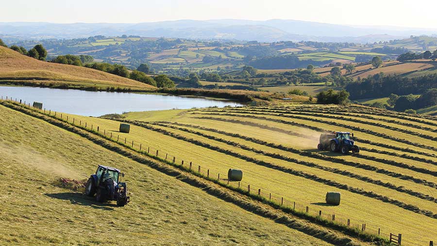 Father and son making hay