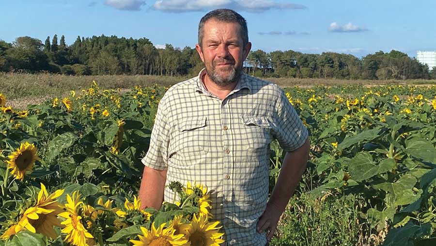 Man in field of sunflowers