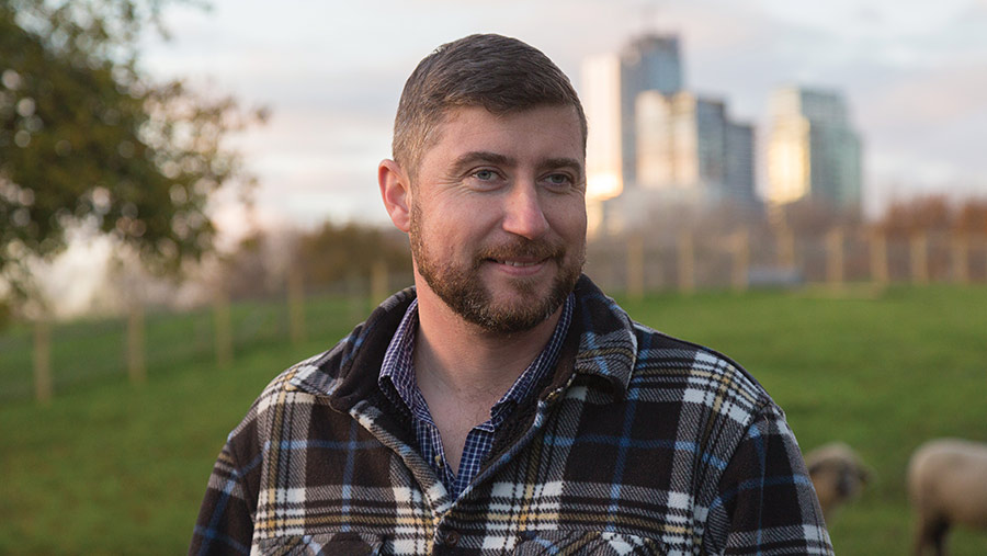 Man (Tom Davis) in a field with tall buildings behind