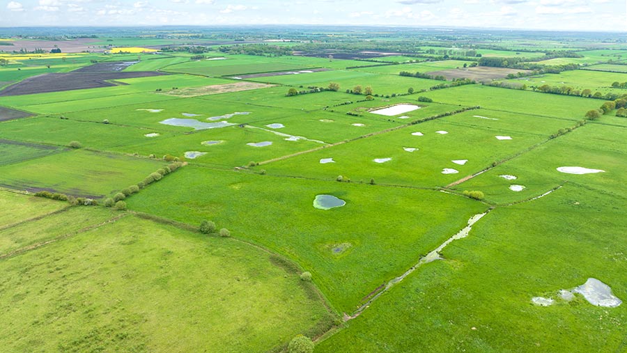 Aerial view of fields