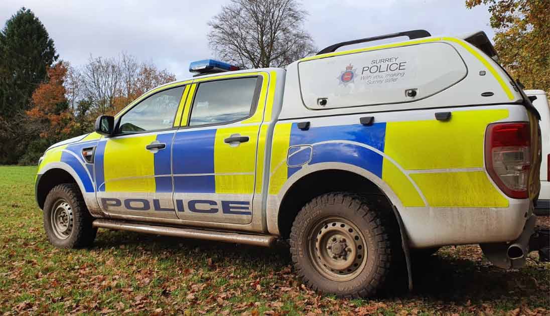 Surrey police witness appeal after sheep mown down in field - Vimarsana News