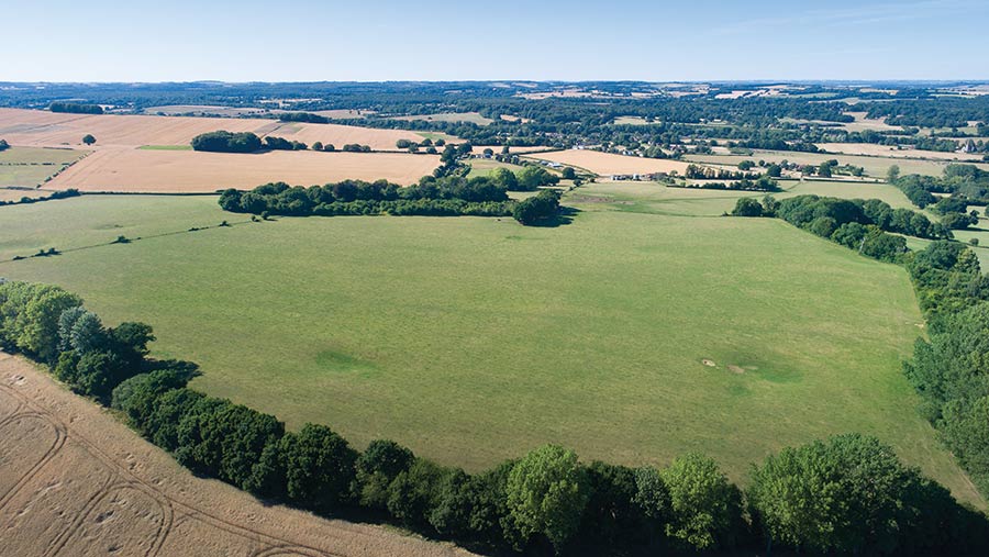 Grade 3 pasture land at Lockerley