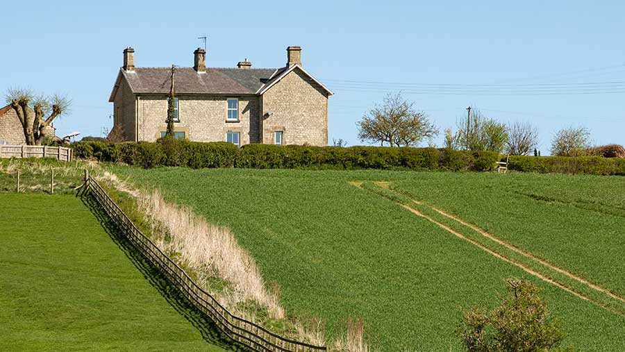 © mrallen/Adobe Stock