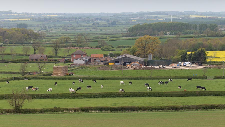 farming landscape